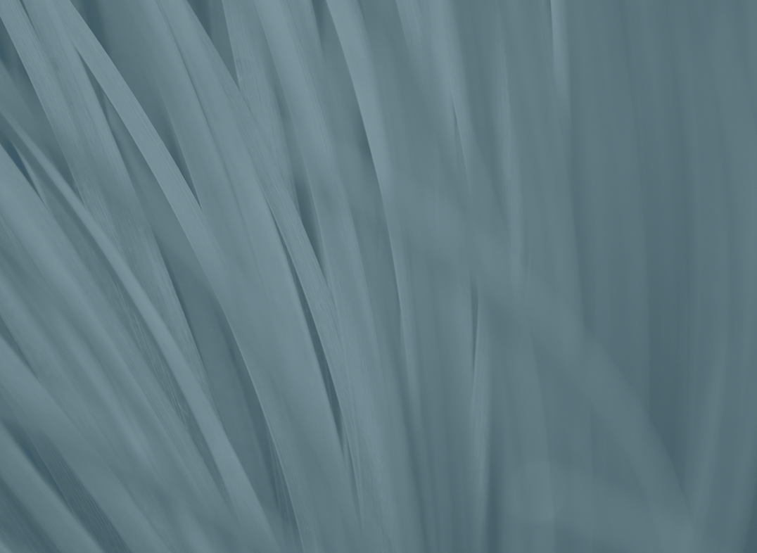 Should You Releverage Your ESOP?